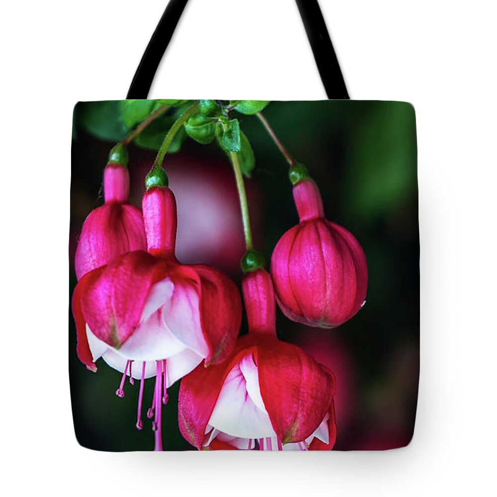 Mobile Tote Bag featuring the photograph Wallpaper Flower by Dheeraj Mutha