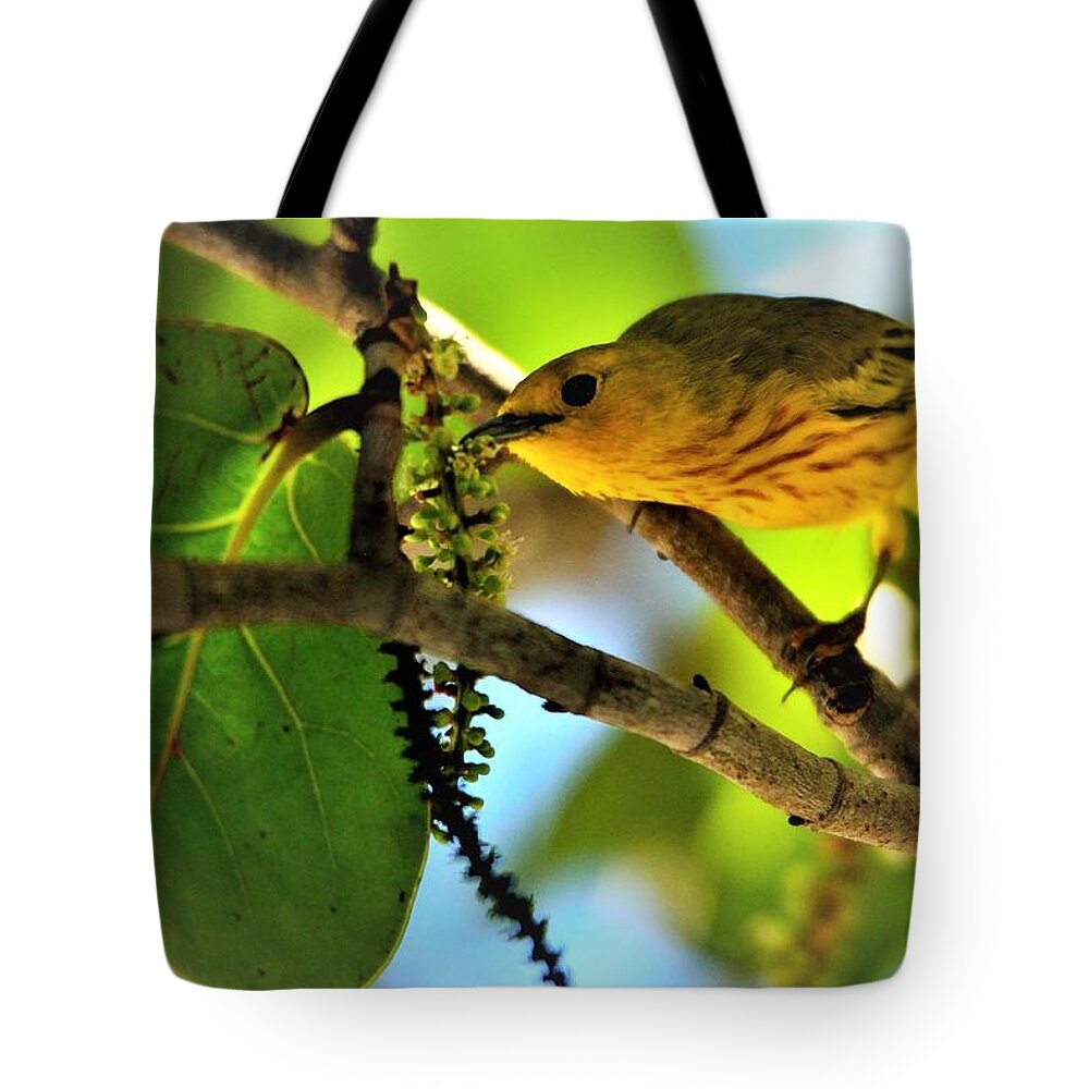 Setophaga Petechia Tote Bag featuring the photograph Warbler's Delight by Climate Change VI - Sales