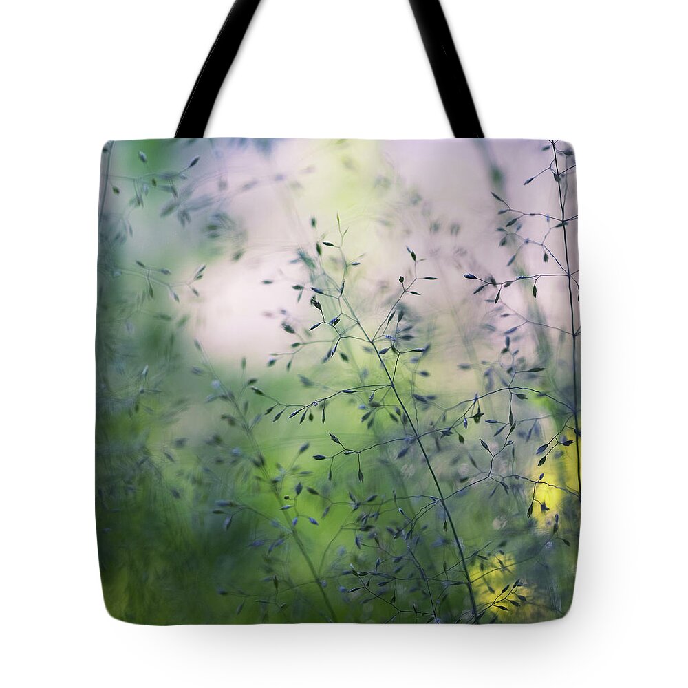 Tranquility Tote Bag featuring the photograph Warm Summer Evening by Veronika Seliverstova's Photography