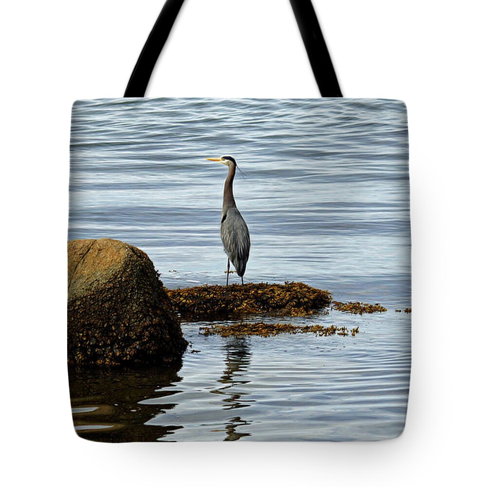 Ocean Tote Bag featuring the photograph Wary Heron by Cameron Wood