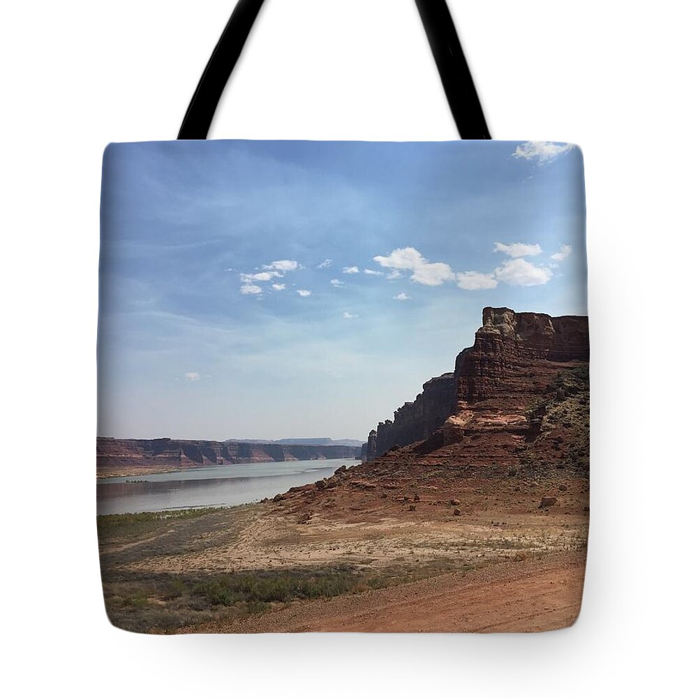 Landscape Nature Tote Bag featuring the photograph Water in the desert by Will Burlingham