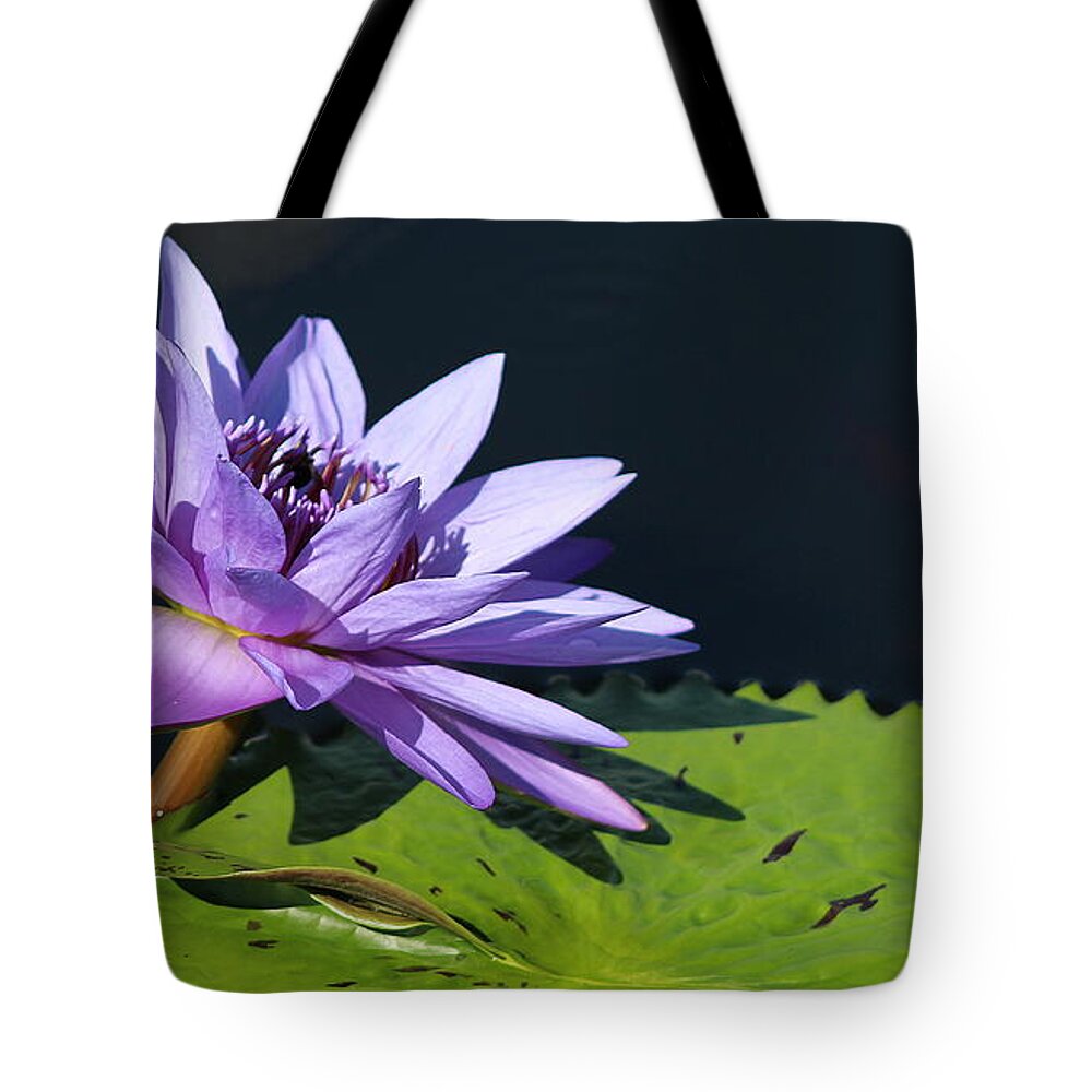 Pattern Tote Bag featuring the photograph Water Lily - A Vision in Purple by Dora Sofia Caputo