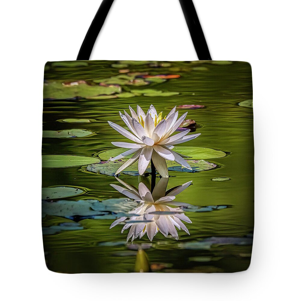 Floral Tote Bag featuring the photograph Water Lily In Bloom by JASawyer Imaging