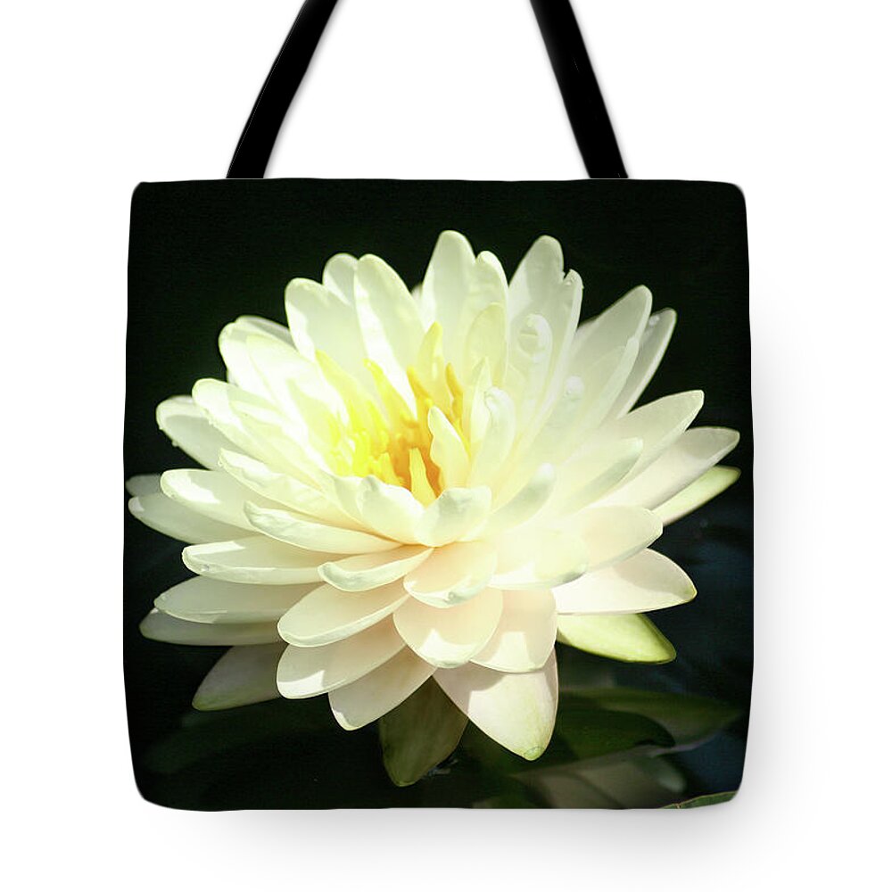 Flower Tote Bag featuring the photograph Water Lily by Steve Karol