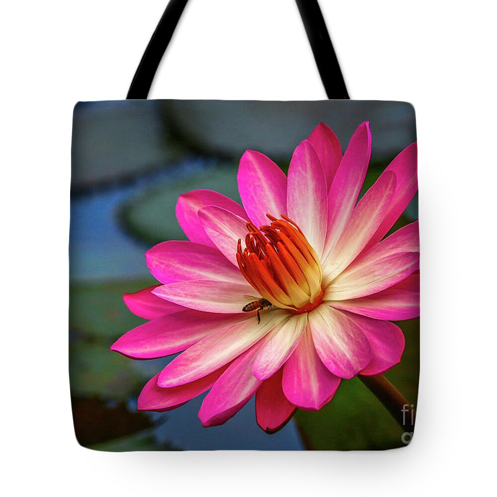 Lily Tote Bag featuring the photograph Water Lily with Bee by Tom Claud