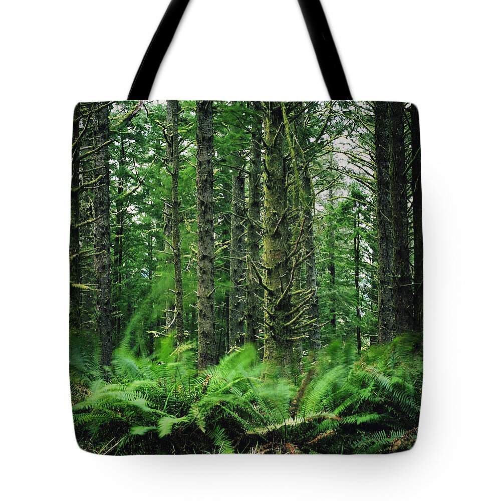 Scenics Tote Bag featuring the photograph Waving Ferns In A Lush Forest by Danielle D. Hughson