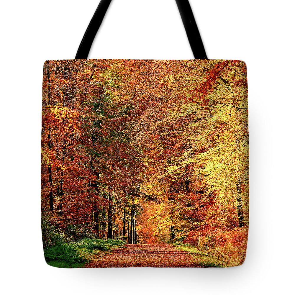 Scenics Tote Bag featuring the photograph Way Fall by Philippe Sainte-laudy Photography