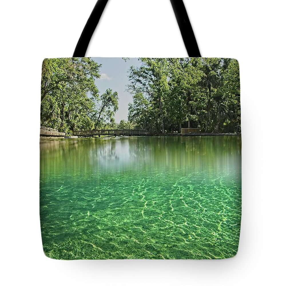 Wekiwa Springs Tote Bag featuring the photograph Wekiwa Springs by Steve DaPonte