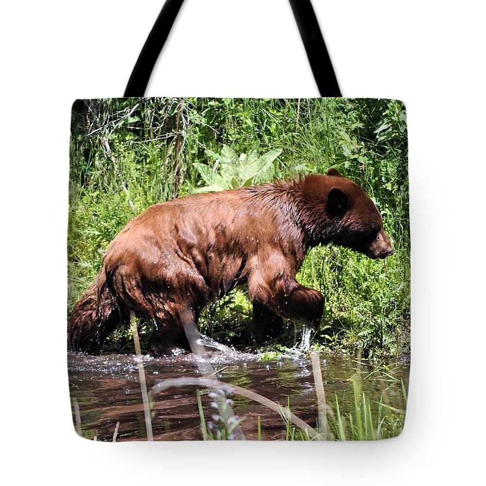 Bear Tote Bag featuring the photograph Wet Bear by Mike Helland