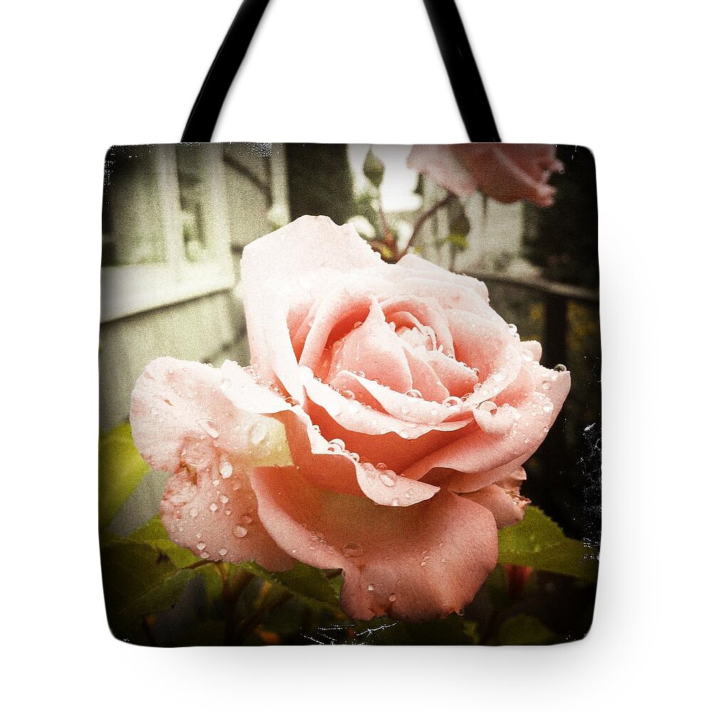Transfer Print Tote Bag featuring the photograph Wet Rose by Photos By Rob Jones Iii
