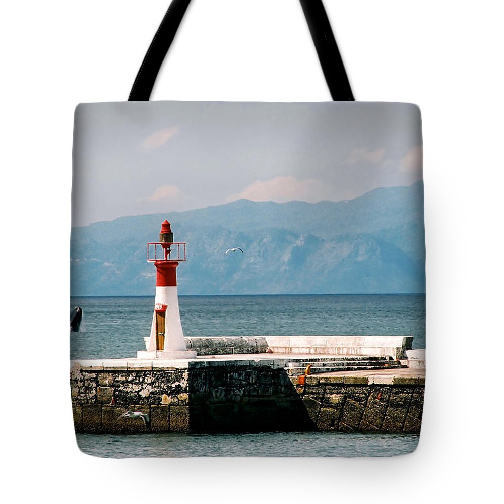 Whale Tote Bag featuring the photograph Whale Breaching by Andrew Hewett