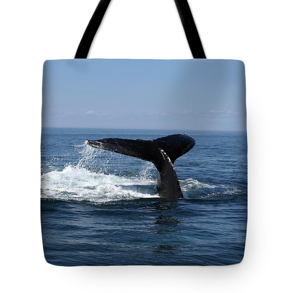 Extreme Terrain Tote Bag featuring the photograph Whale Diving by Edzard