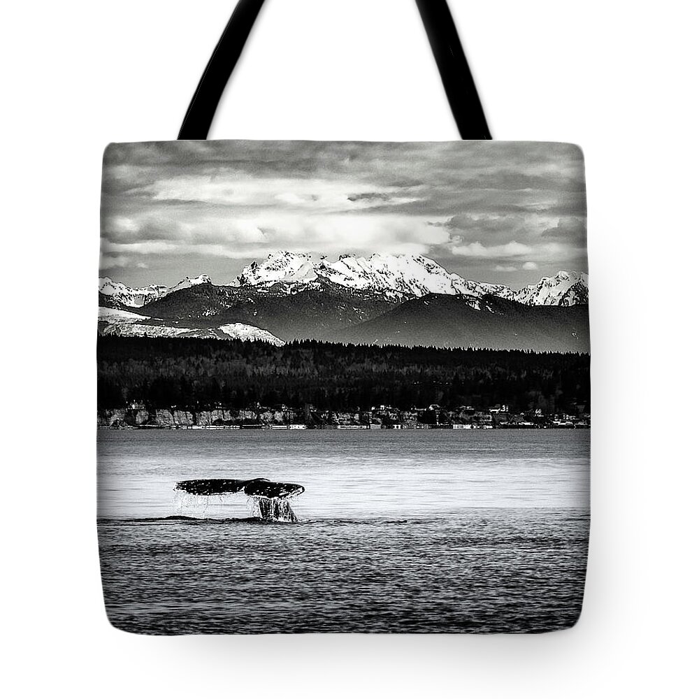 Gray Whale Tote Bag featuring the digital art Whale Tail by Ken Taylor