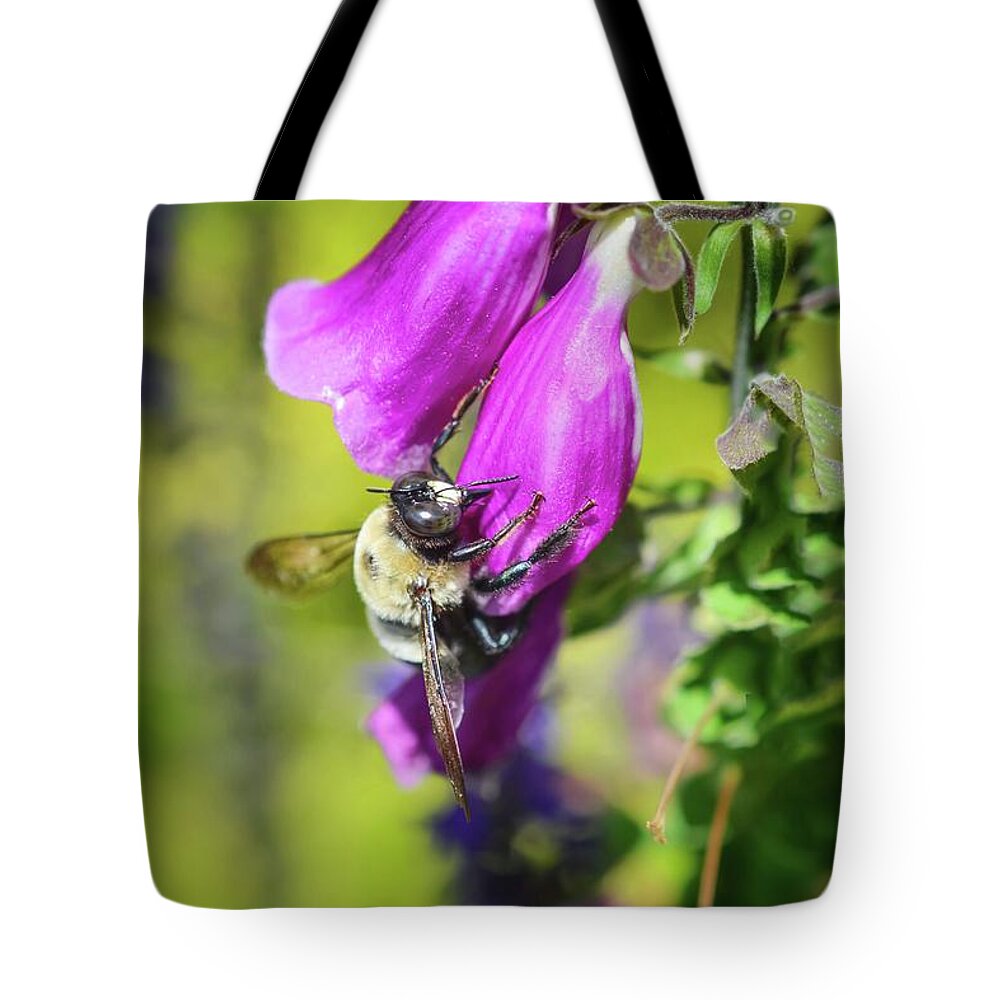 Bee Tote Bag featuring the photograph What's the Buzz? by Shannon Kelly