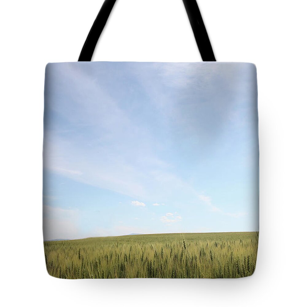 Scenics Tote Bag featuring the photograph Wheat Field Against Blue Sky by Vicky Kasala Productions