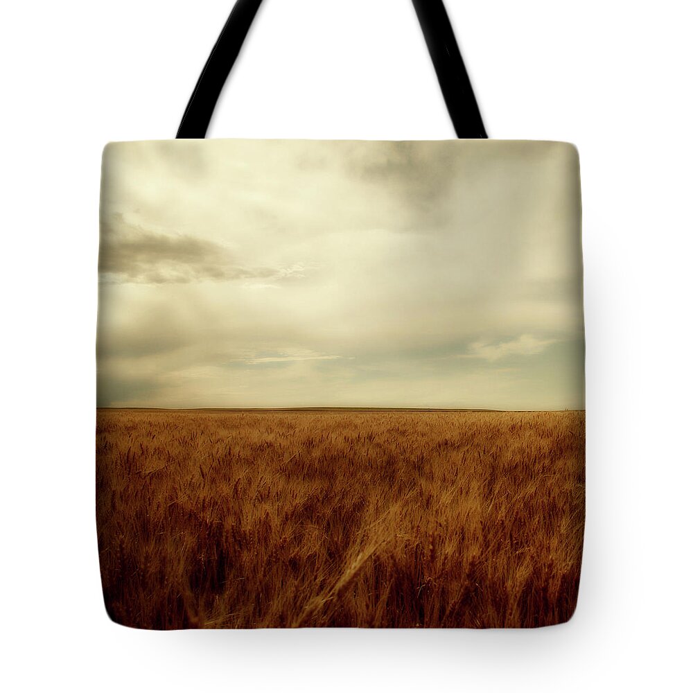 Tranquility Tote Bag featuring the photograph Wheat Field by Moosebitedesign