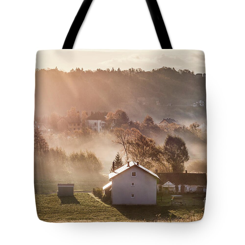 Kremsdorf Tote Bag featuring the photograph Whispers by Evelina Kremsdorf