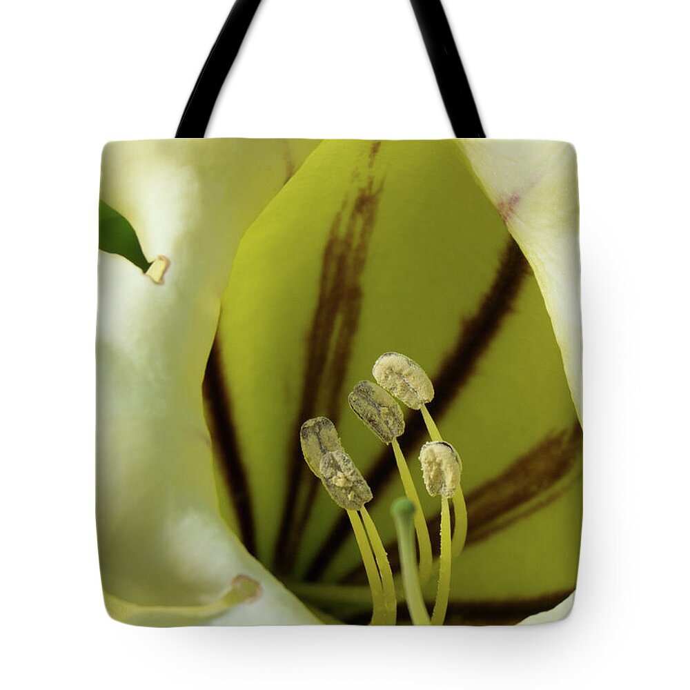Flower Tote Bag featuring the photograph White Bell Flower by Margaret Zabor