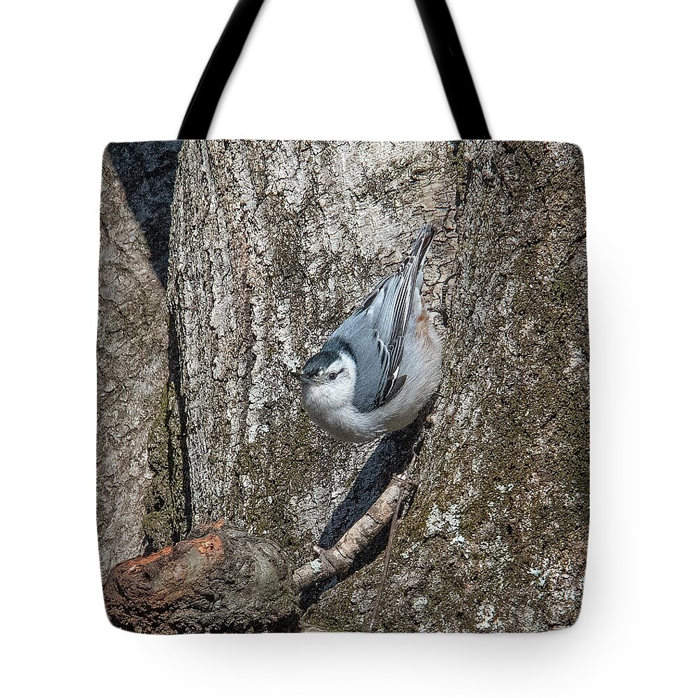 Nature Tote Bag featuring the photograph White-breasted Nuthatch DSB0336 by Gerry Gantt