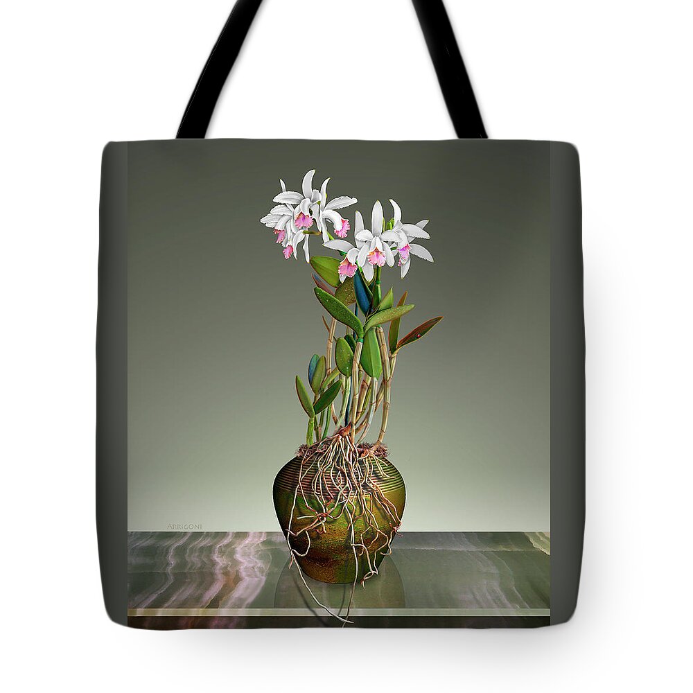 White Cattleya Orchids Tote Bag featuring the painting White Cattleya Orchids in Pot by David Arrigoni