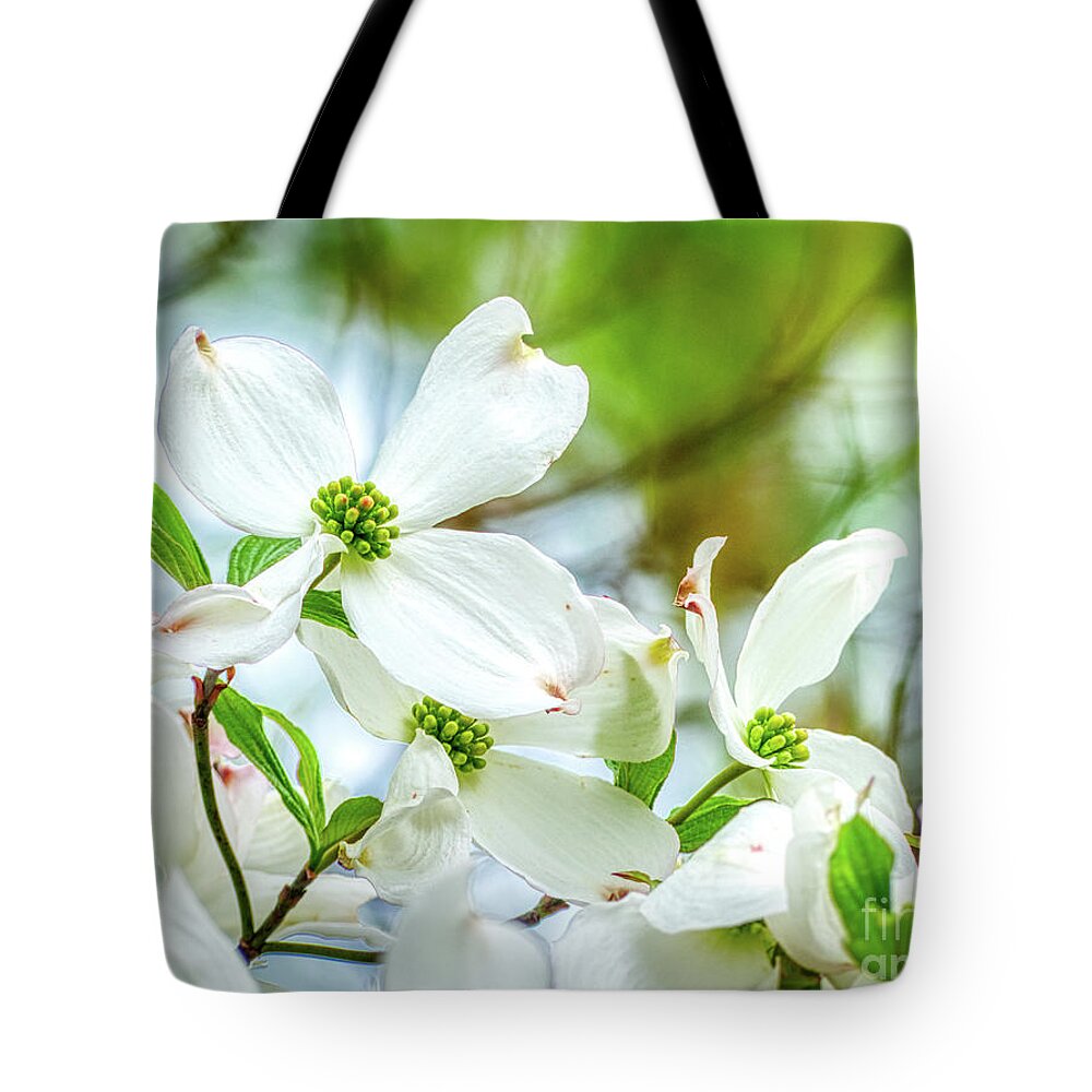 Dogwood Tote Bag featuring the photograph White Dogwood Blossoms by Amy Dundon