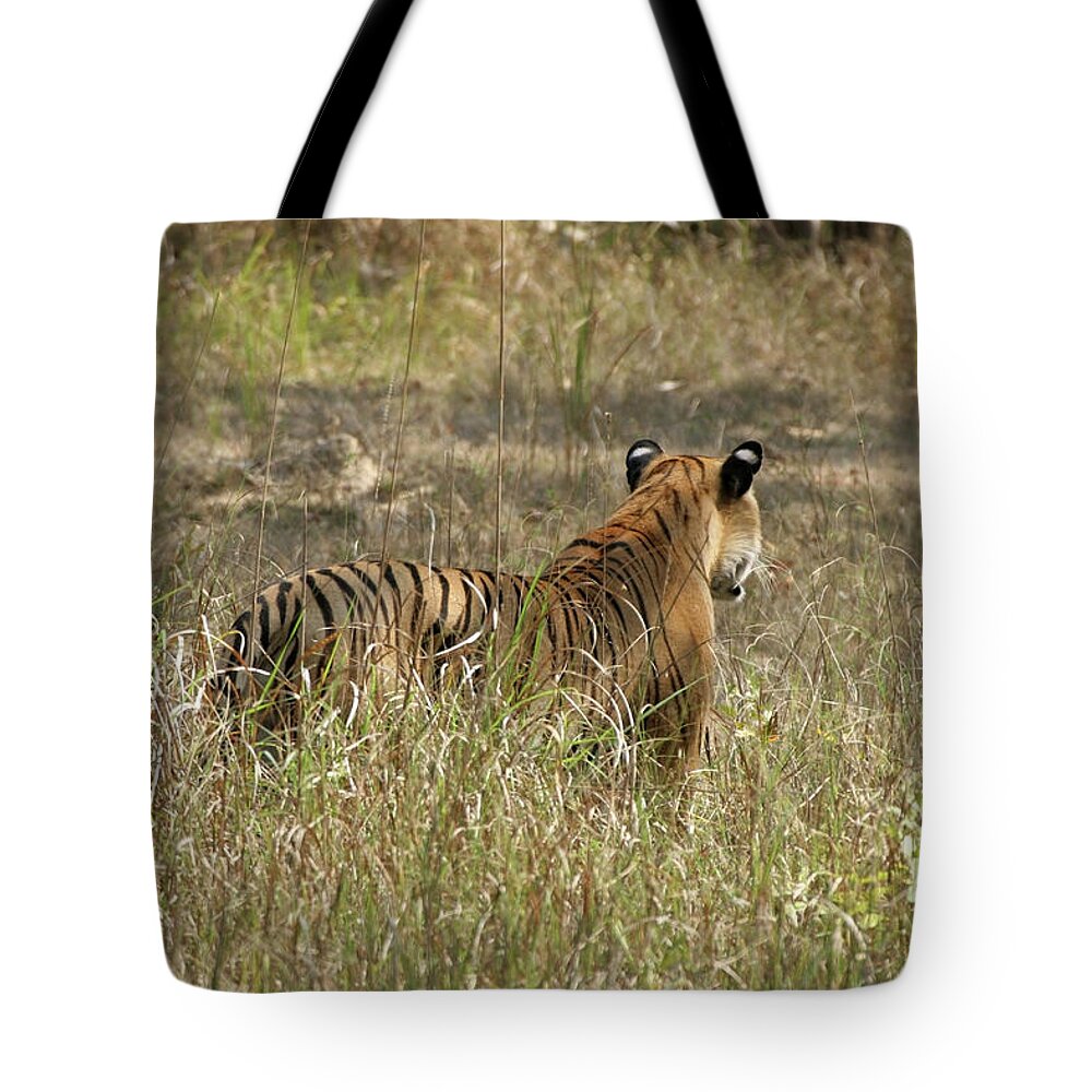 Grass Tote Bag featuring the photograph White Eye Spots On Wild Bengal Tiger by Milehightraveler