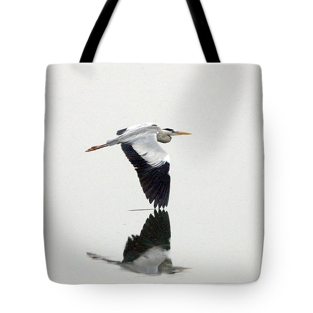 Animal Themes Tote Bag featuring the photograph White Heron by Floridapfe From S.korea Kim In Cherl