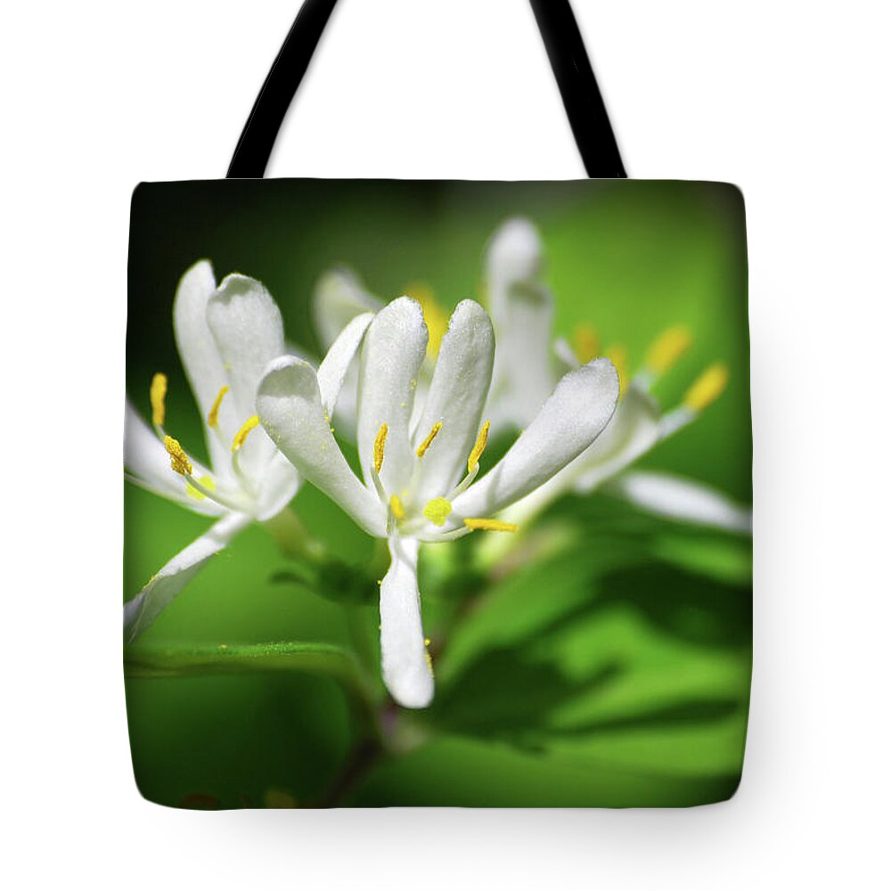 White Flowers Tote Bag featuring the photograph White Honeysuckle Flowers by Christina Rollo