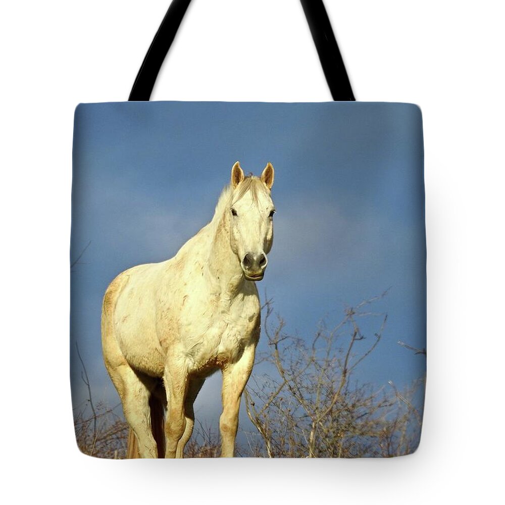  Tote Bag featuring the photograph White Horse by Kathy Ozzard Chism