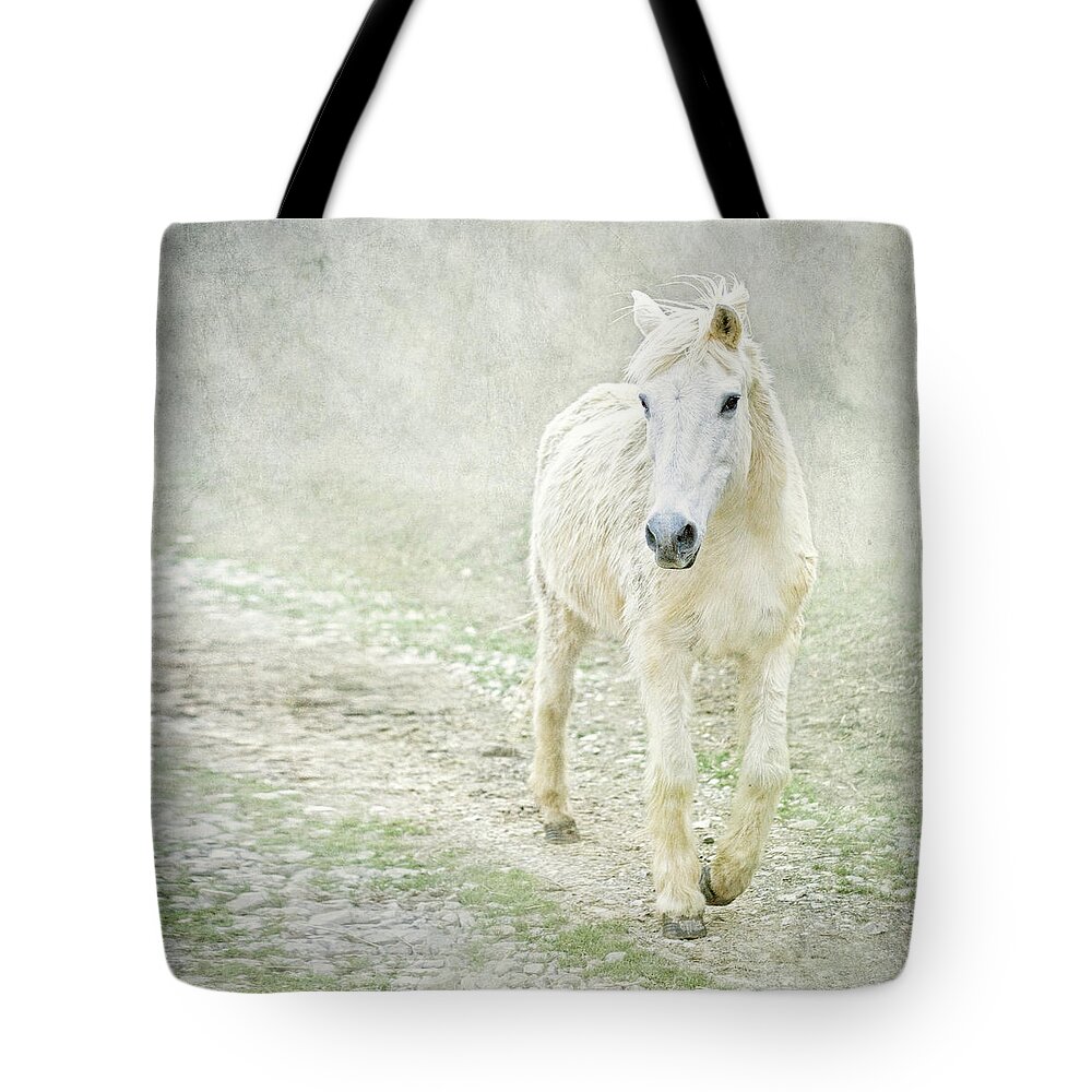 Horse Tote Bag featuring the photograph White Horse Walking Along Stony Path by Christiana Stawski