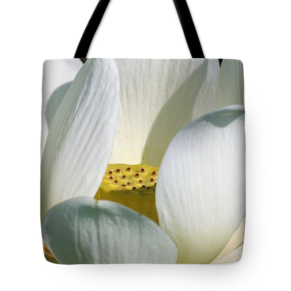 Nature Tote Bag featuring the photograph White Lotus Flower by Sheila Brown