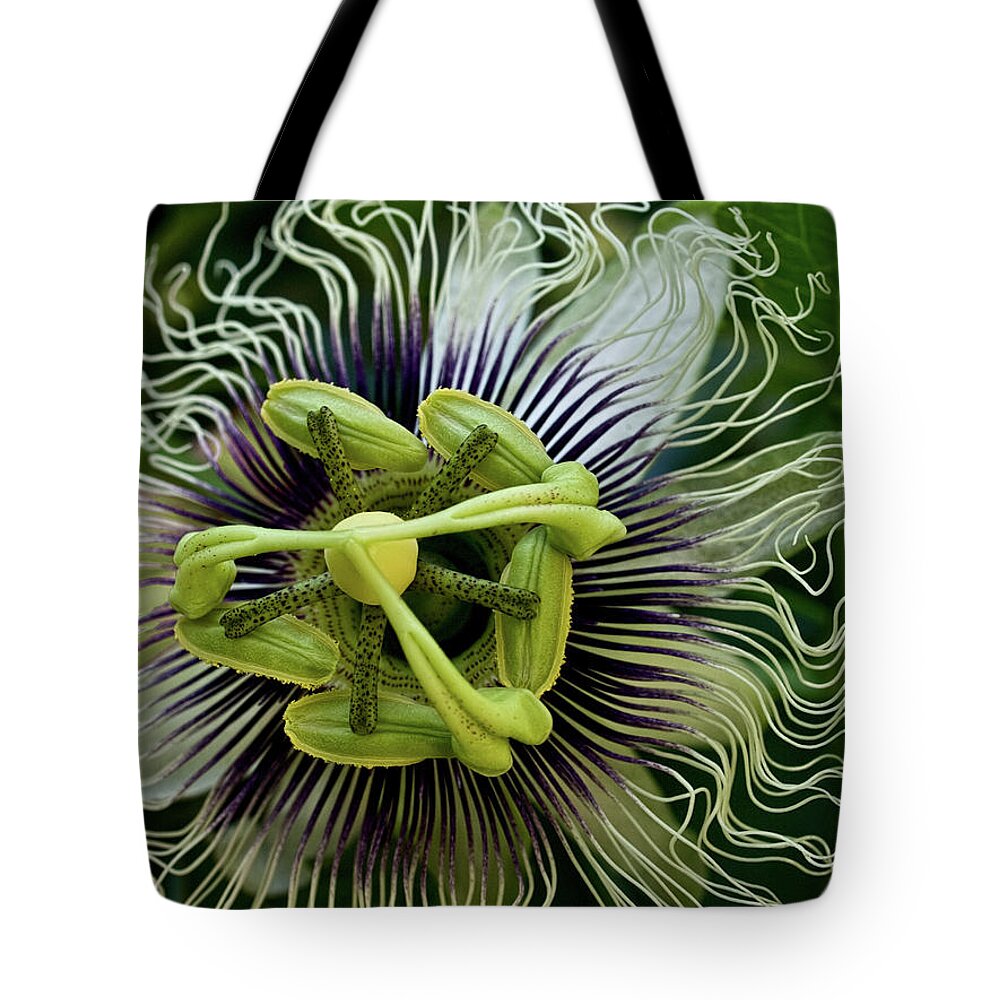 Purple Tote Bag featuring the photograph White Passion Flower by Celeste Mookherjee