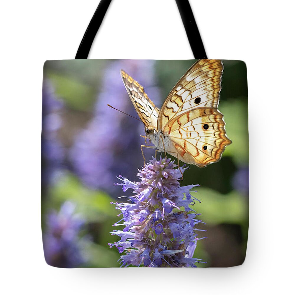 White Peacock Butterfly Tote Bag featuring the photograph White Peacock Butterfly by Patty Colabuono