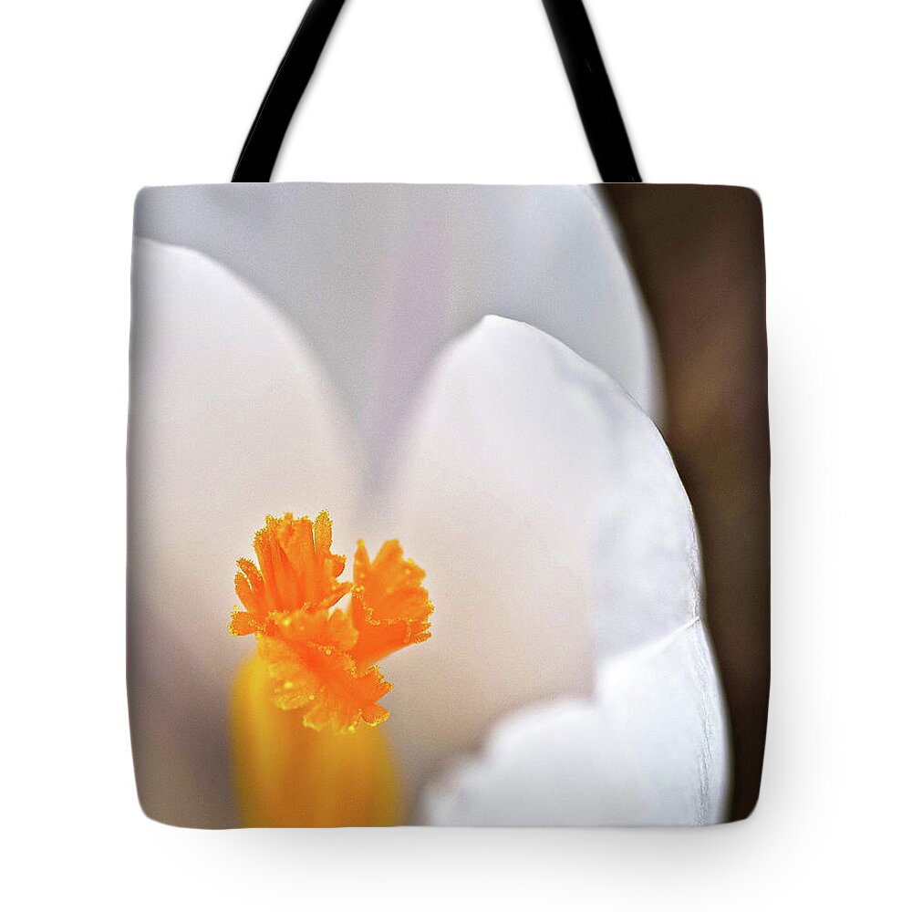 Flower Tote Bag featuring the photograph White Petals by Billy Knight