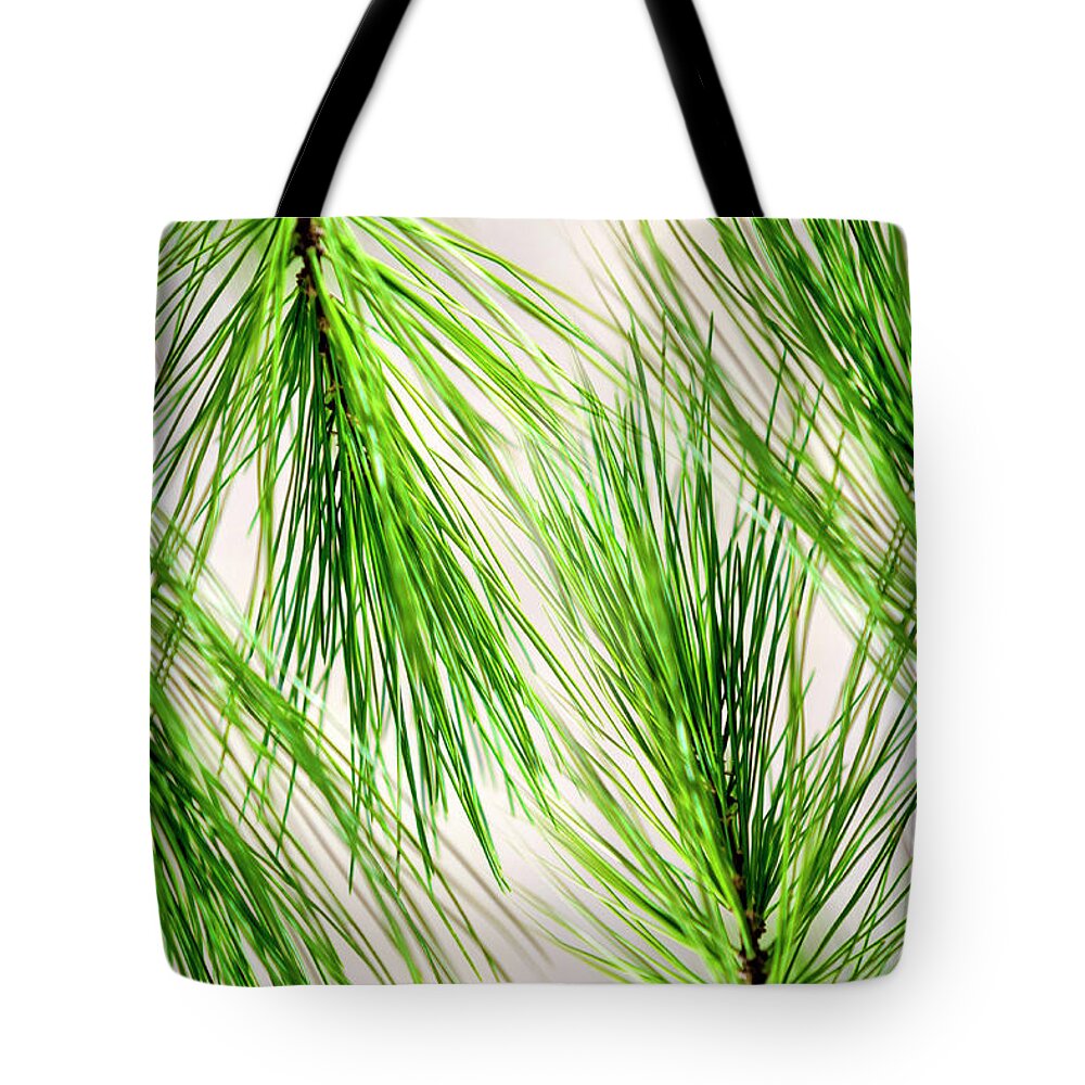 White Pine Tote Bag featuring the photograph White Pine Needles by Christina Rollo