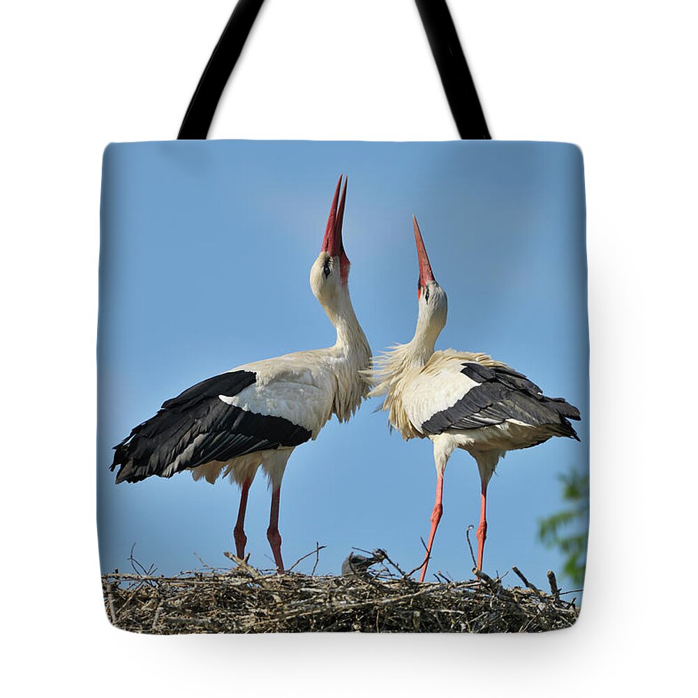 Animal Themes Tote Bag featuring the photograph White Stork by Raimund Linke