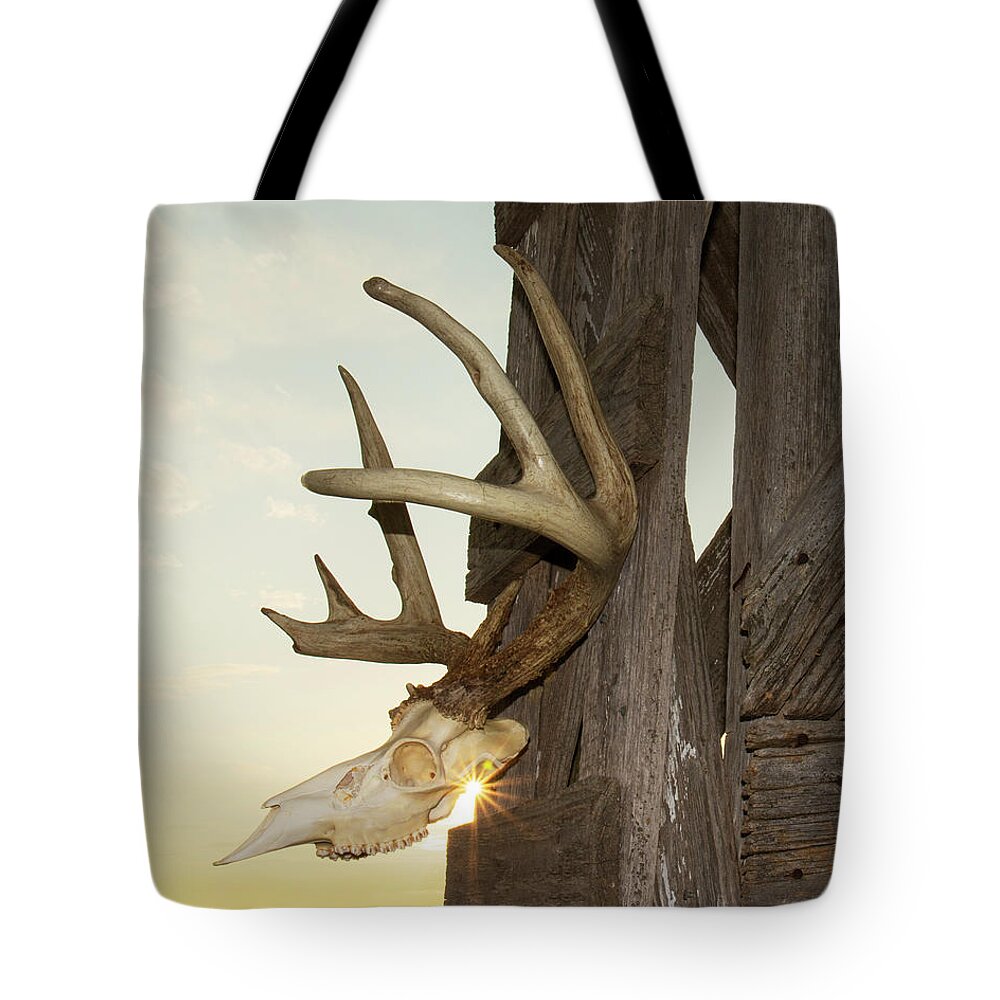 Kansas Tote Bag featuring the photograph White-tail Deer 017 by Rob Graham