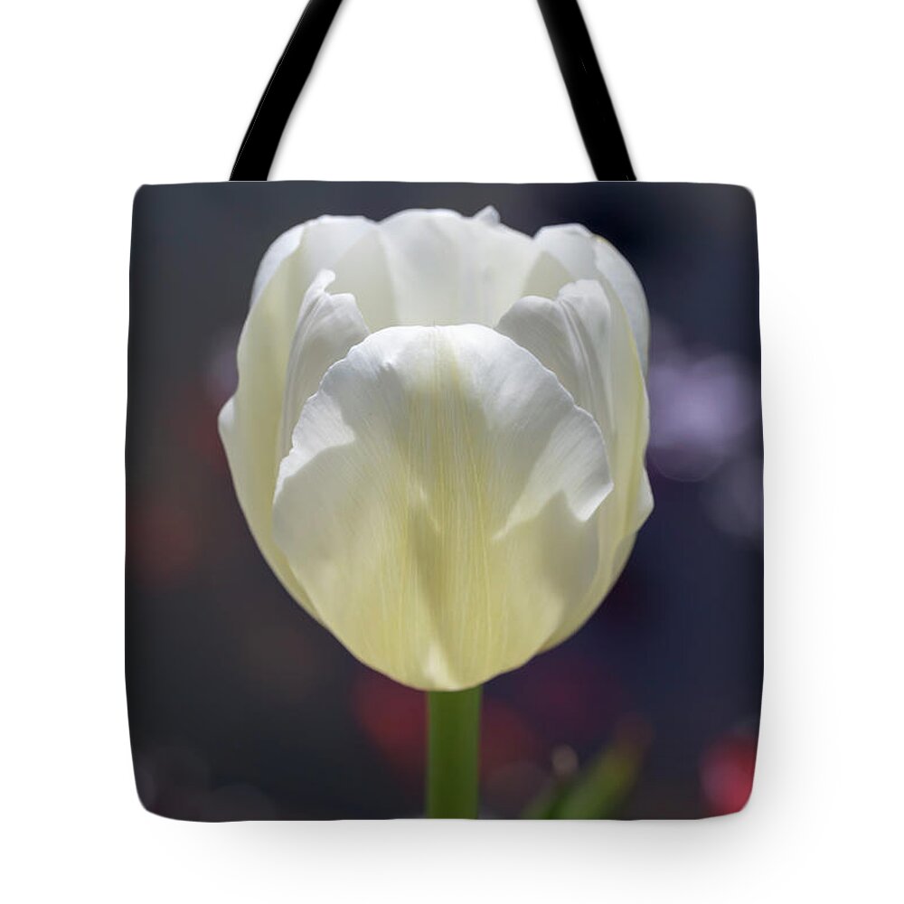Flower Tote Bag featuring the photograph White Tulip by Dawn Cavalieri