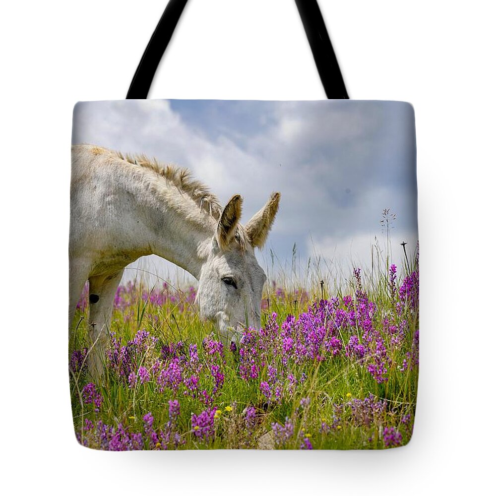 White Burro Tote Bag featuring the photograph White Wild Burro by Susan Rydberg