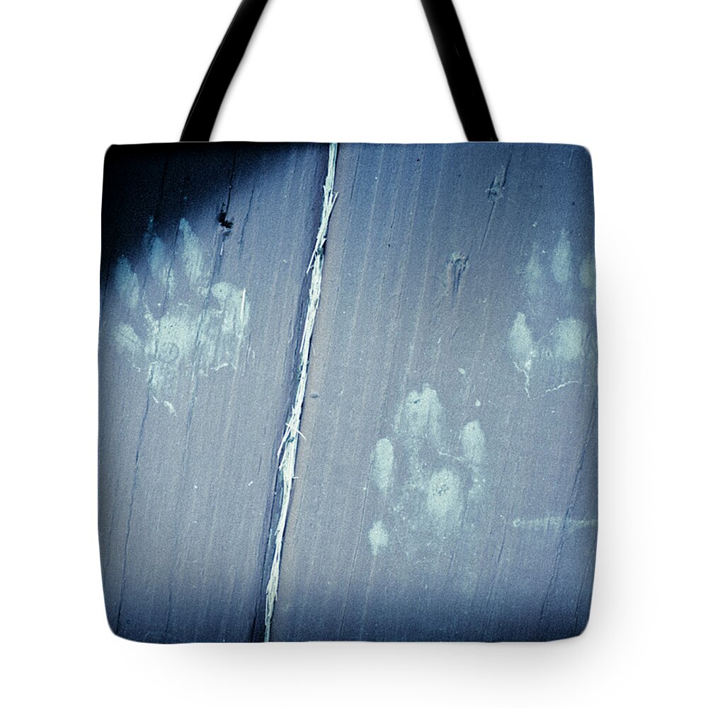 Paw Tote Bag featuring the photograph Who Dunnit by Christi Kraft