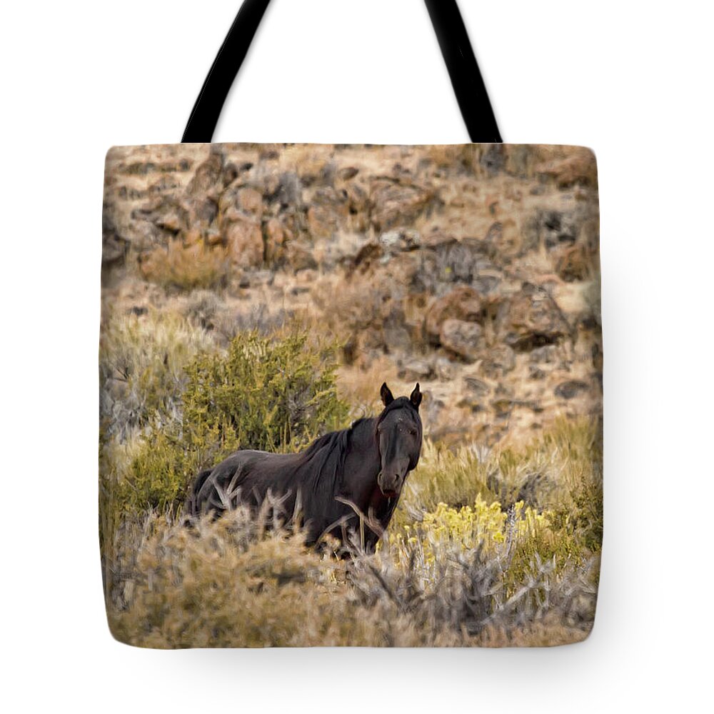 Horse Tote Bag featuring the photograph Wild Black Stallion - Midnight by Waterdancer