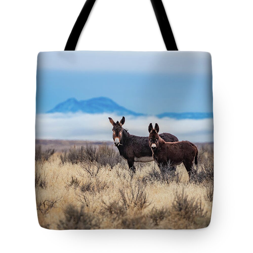 Burro Tote Bag featuring the photograph Wild Burros by Randy Robbins