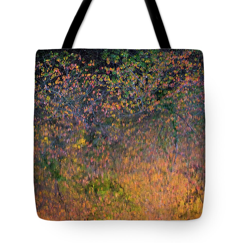 Wild Cherry Tote Bag featuring the photograph Wild Cherry tree in the Fall, golden reflections on the river by Anita Nicholson