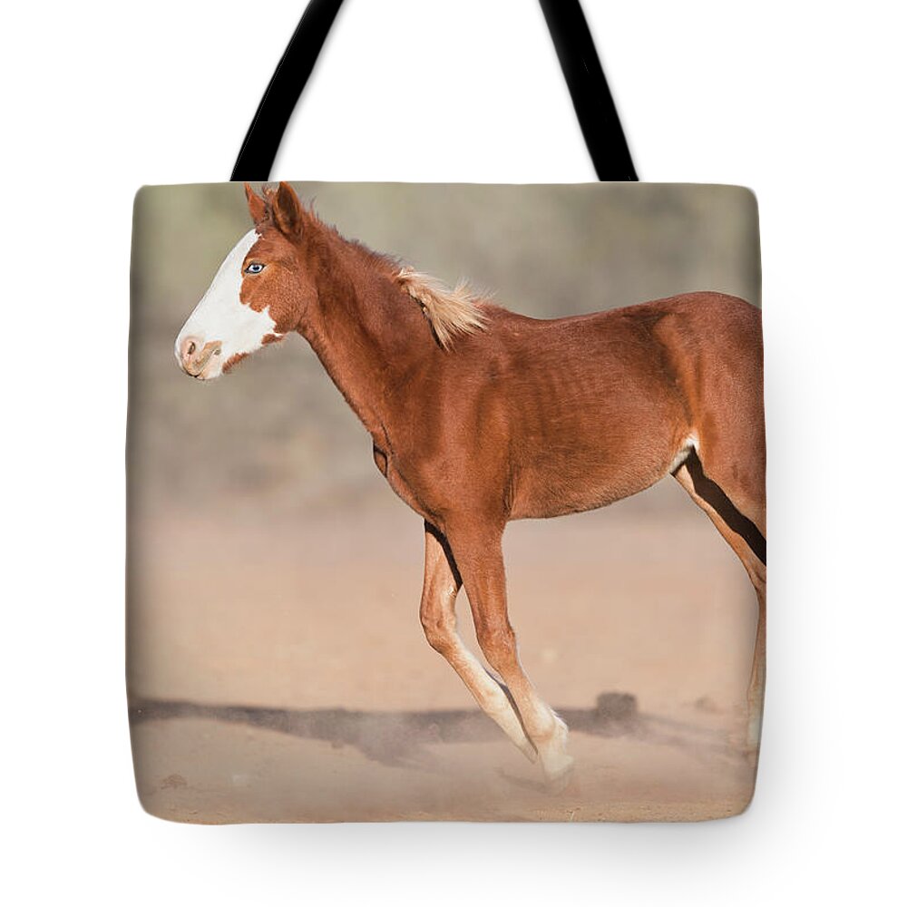 Blue Eye Tote Bag featuring the photograph Wild One by Shannon Hastings