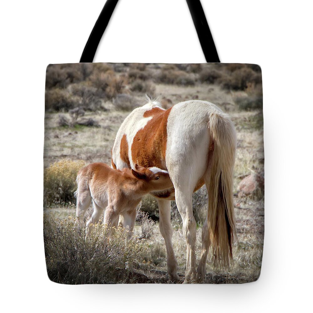 Nevada Tote Bag featuring the photograph Wild Paint foal nursing by Waterdancer