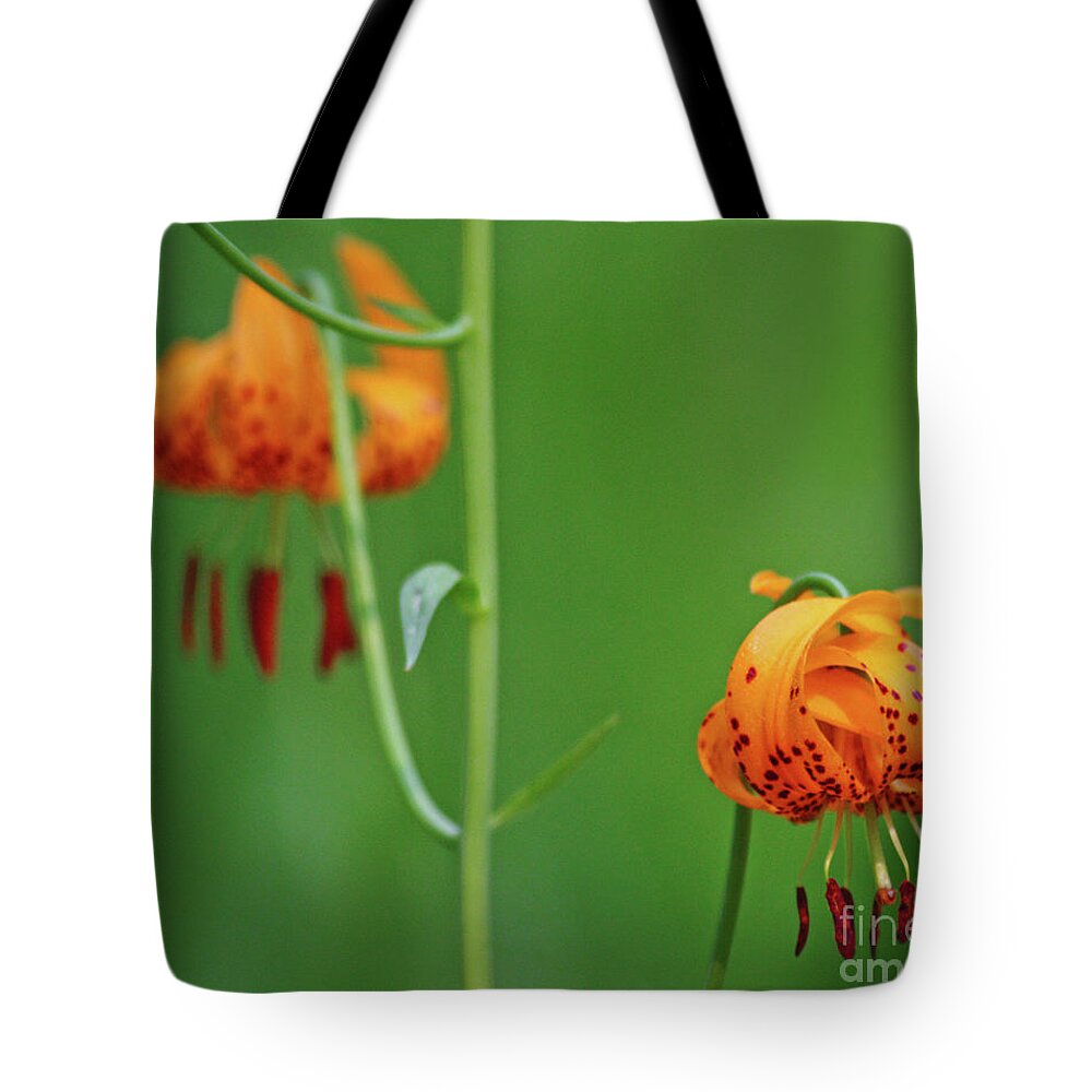 Tiger Lily Tote Bag featuring the photograph Wild Tiger Lily by Terri Brewster