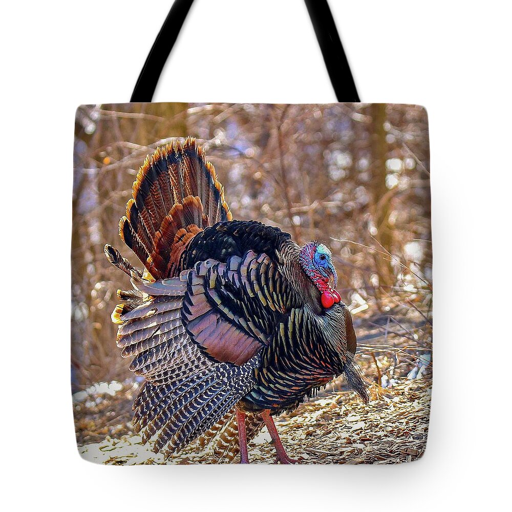 Colorful Tote Bag featuring the photograph Wild Turkey by Susan Rydberg