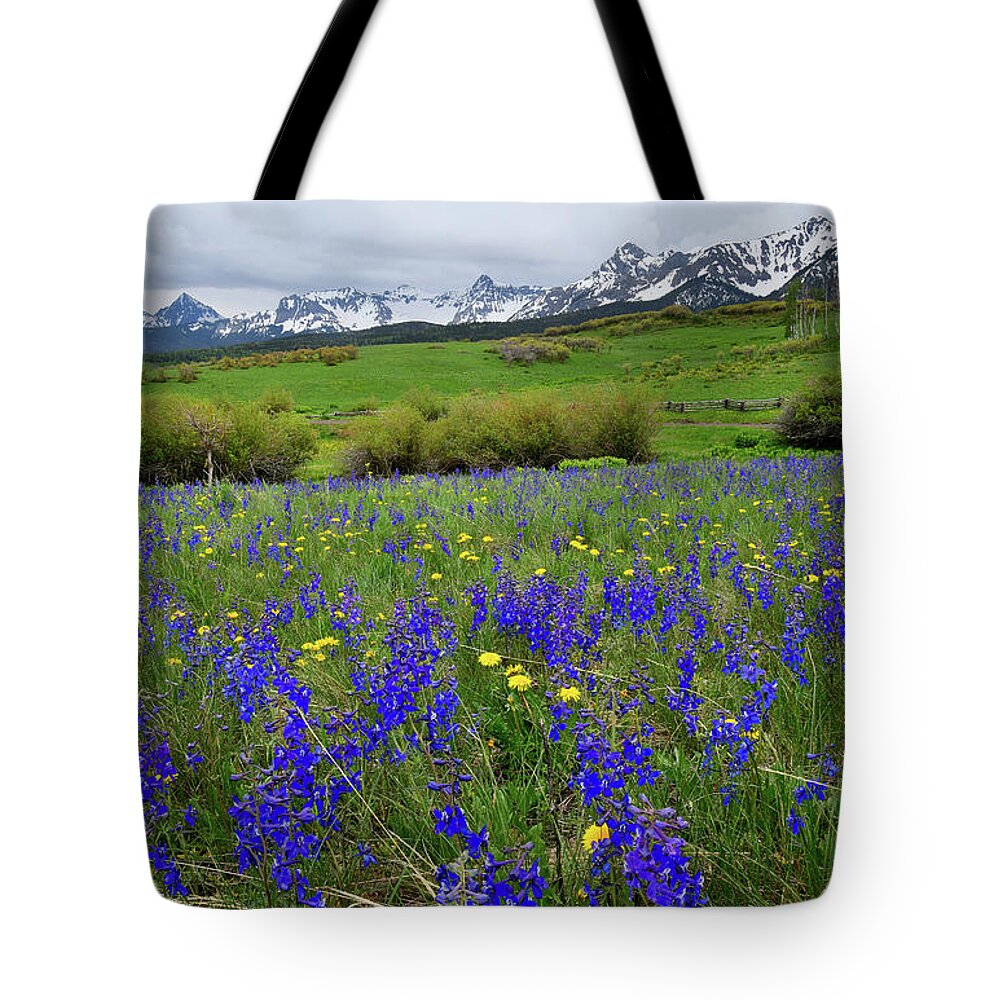 Ouray Tote Bag featuring the photograph Wildflowers along Last Dollar Road by Ray Mathis