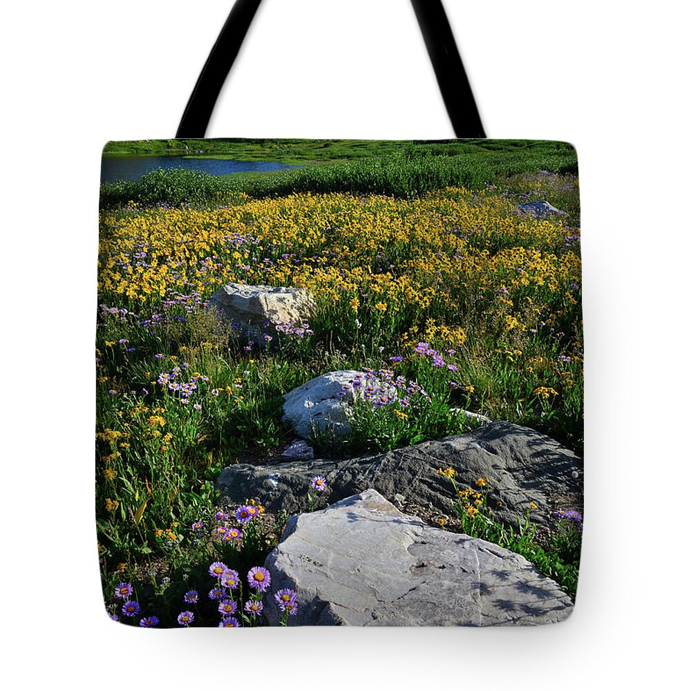 Snowy Range Mountains Tote Bag featuring the photograph Wildflowers Bloom in Snowy Range by Ray Mathis