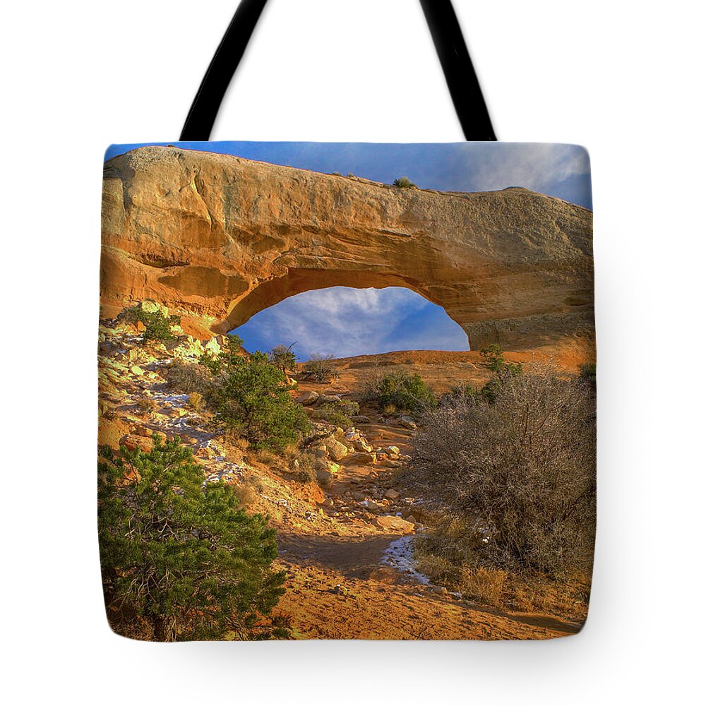 00586243 Tote Bag featuring the photograph Wilson Arch, Sandstone Near Moab, Utah by Tim Fitzharris